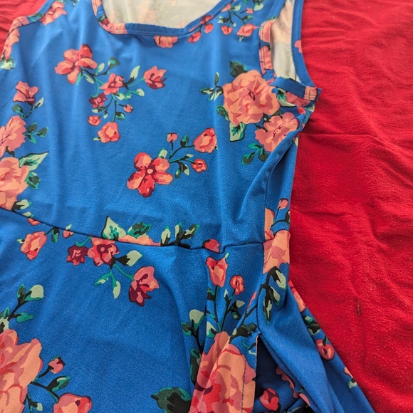 Lularoe Nicki dress with pockets - Picture 4 of 4